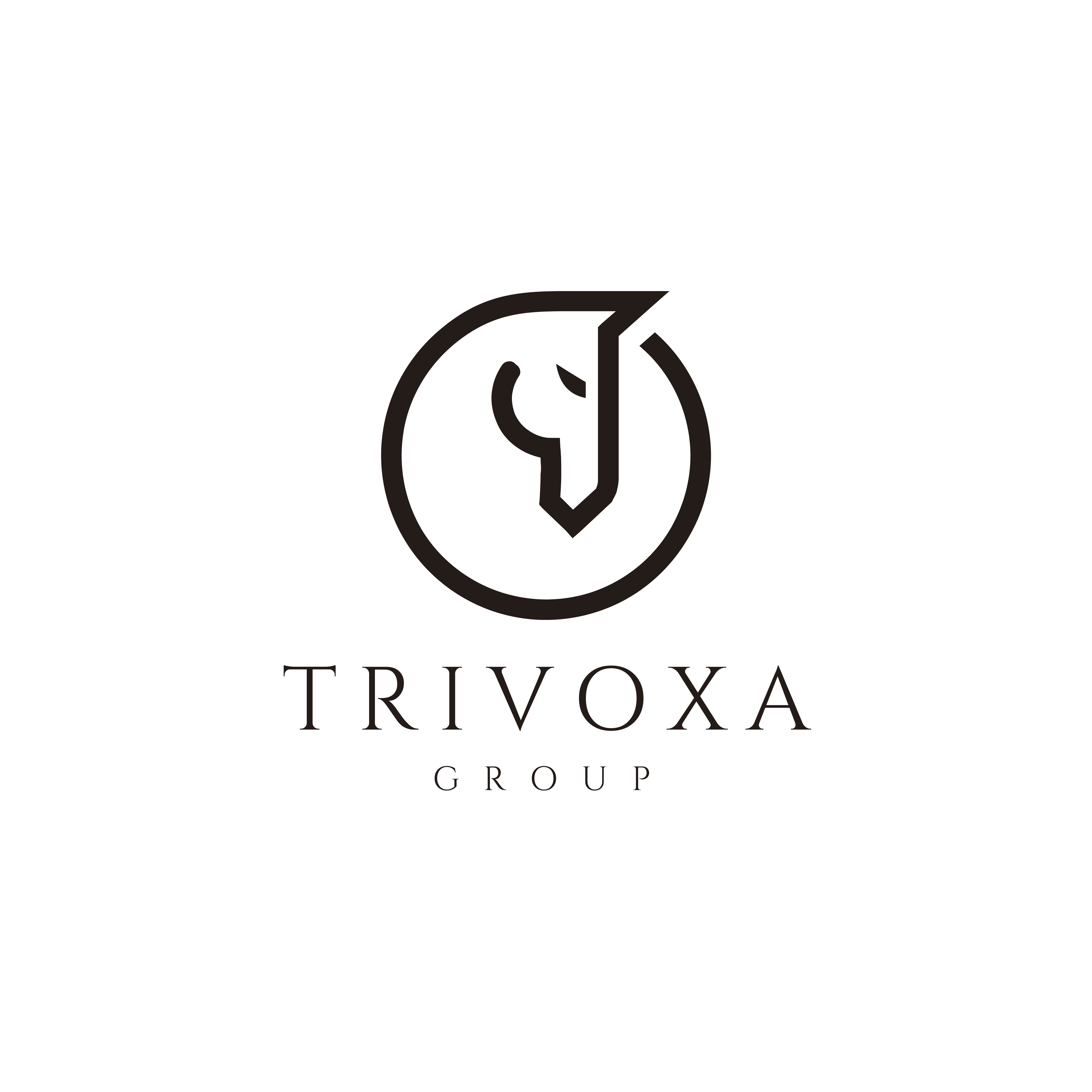 Trivoxa Group 3D Emblem